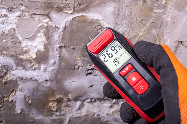 Best Residential Mold Remediation in Frankfort, IN